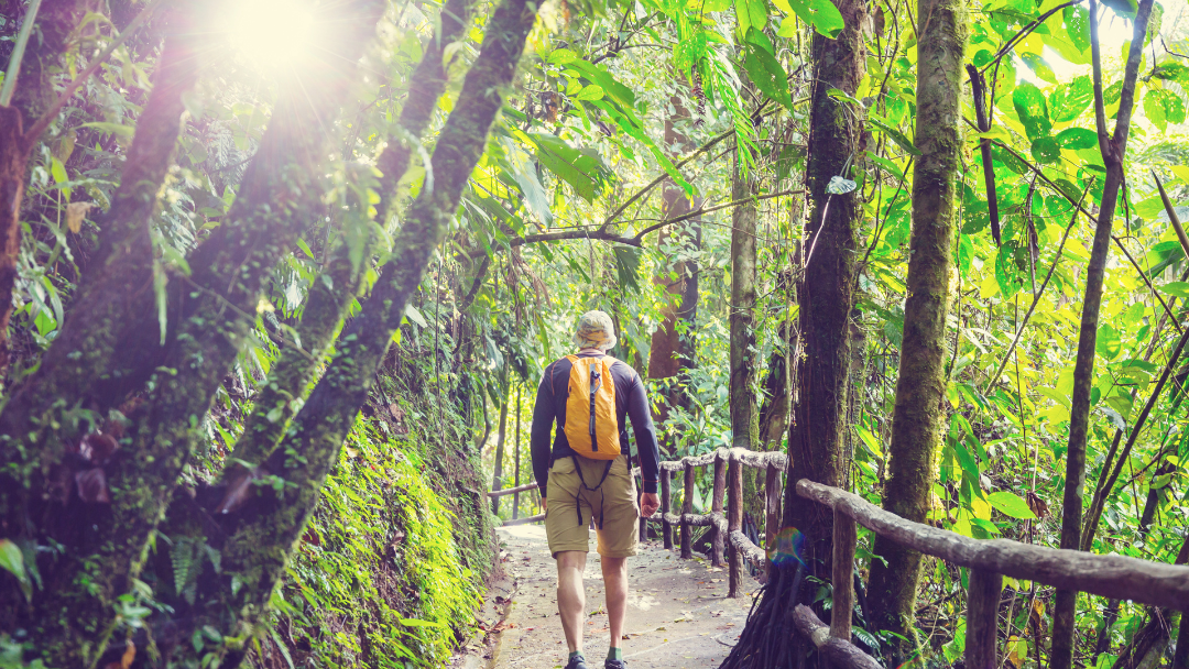 Embracing Costa Rica’s Rainy Season: A Unique Travel Experience